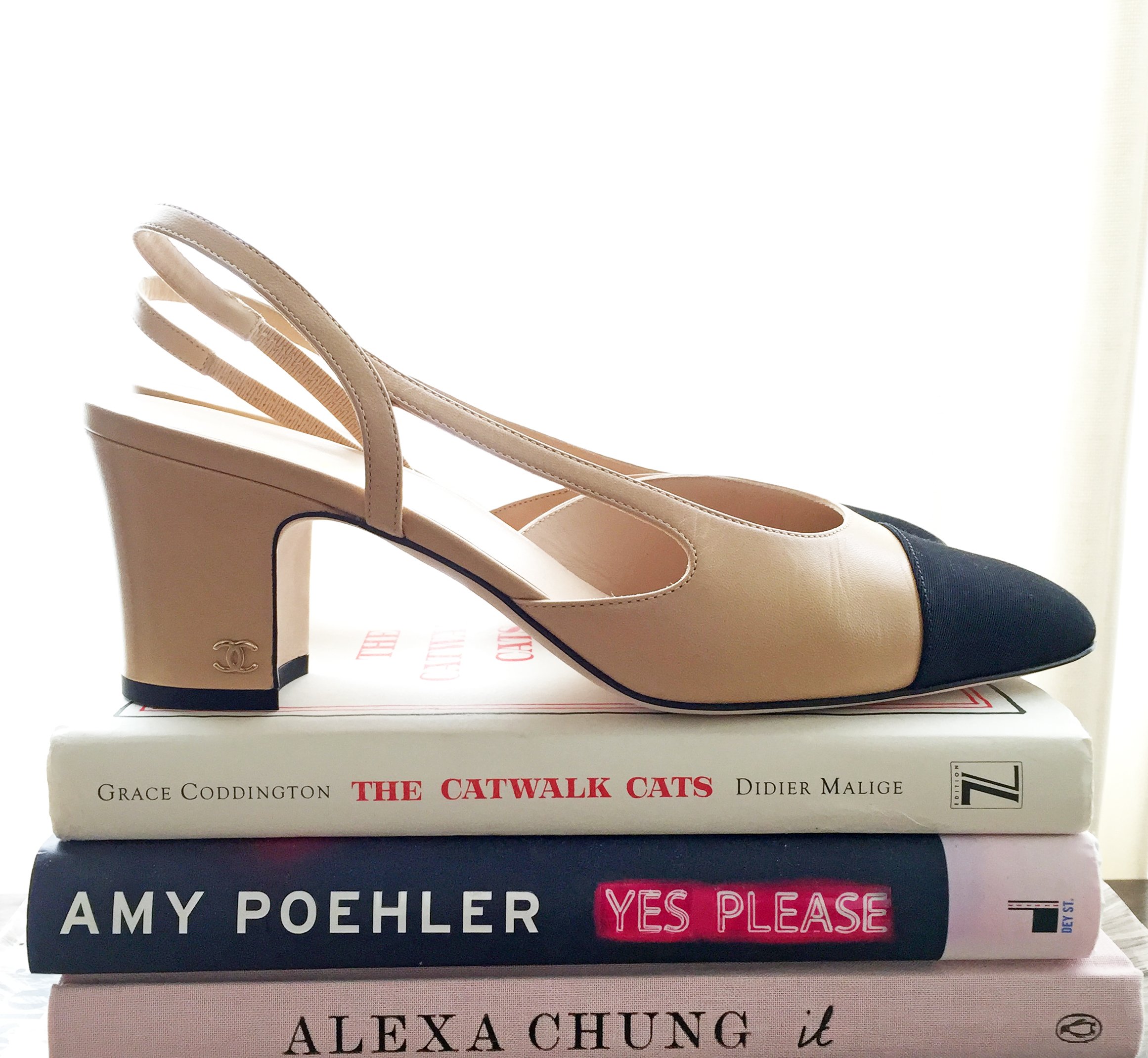 Chanel Slingbacks Review: The New 